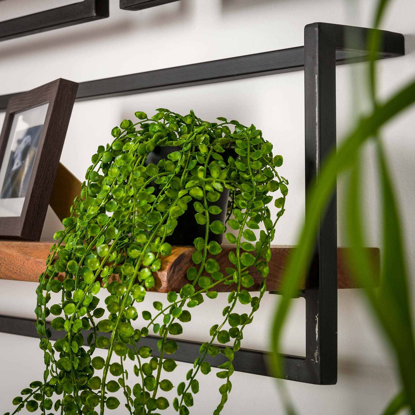 Wandplank edge 40cm / Massief acacia naturel