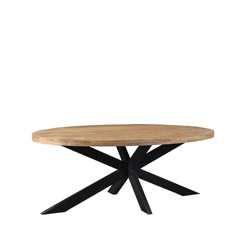 Eetkamertafel Zip - Rough - Mangohout - Ovaal - 210x100 cm
