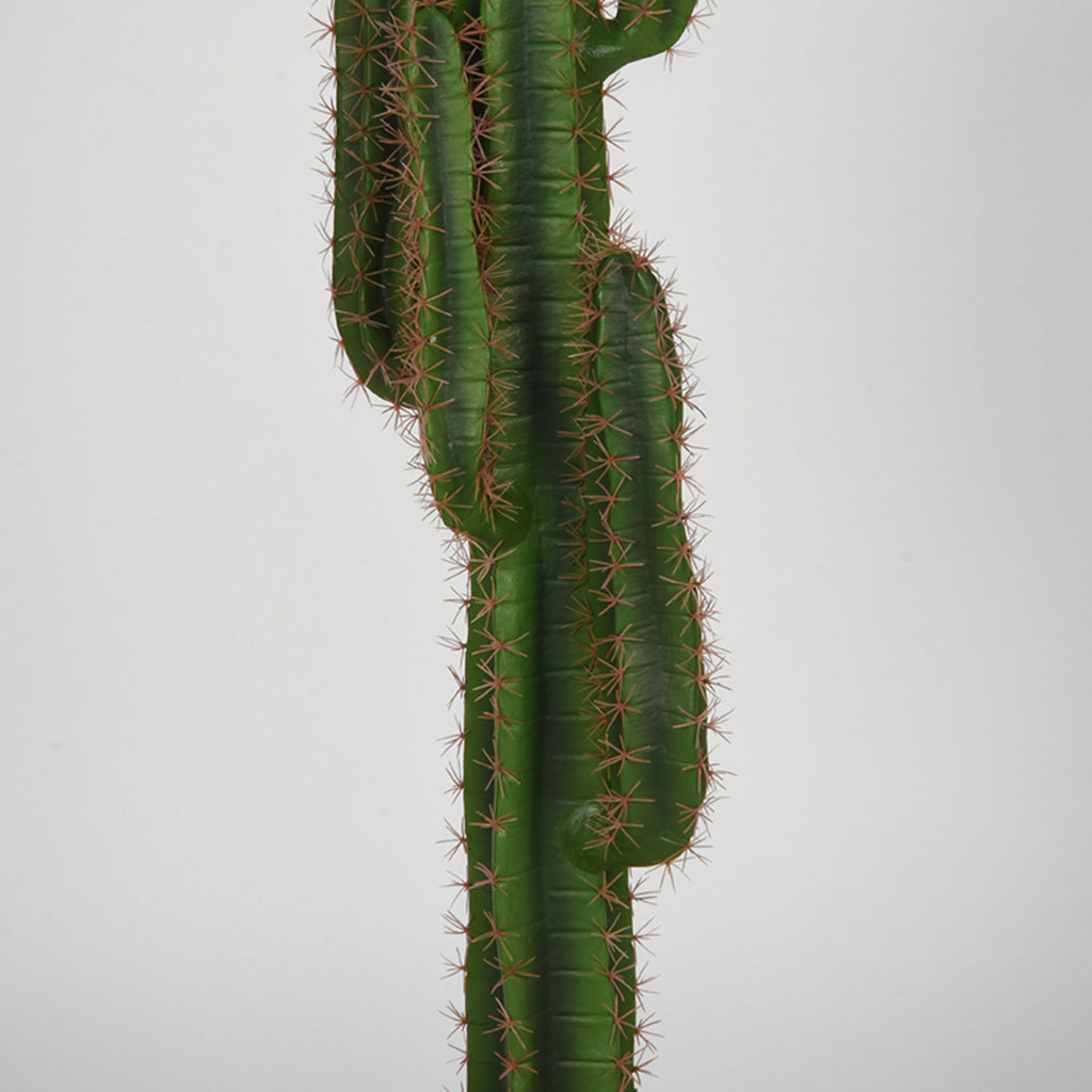 Cactus - Groen - Kunststof - 130 cm