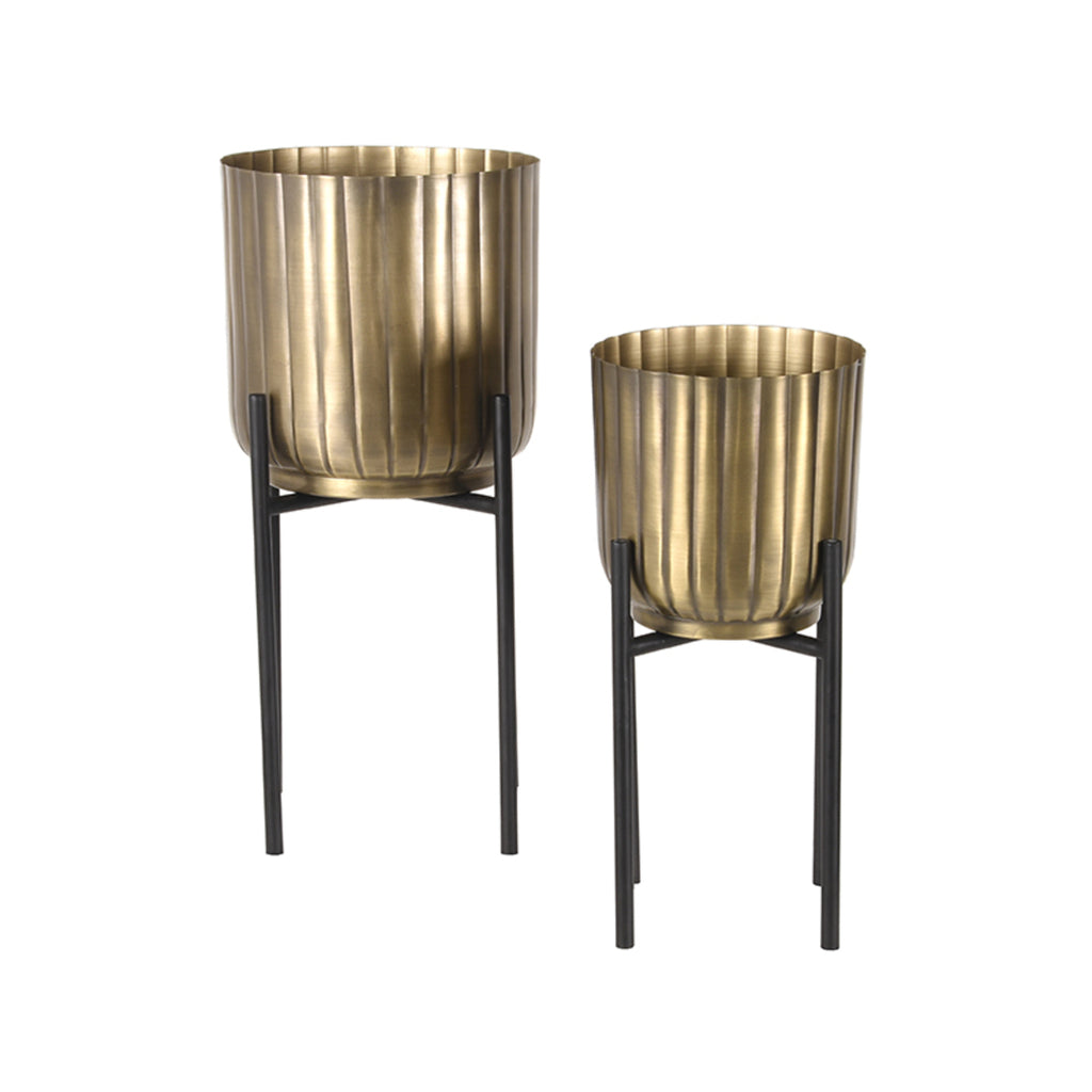 Plantenstandaards - Antiek goud - Metaal