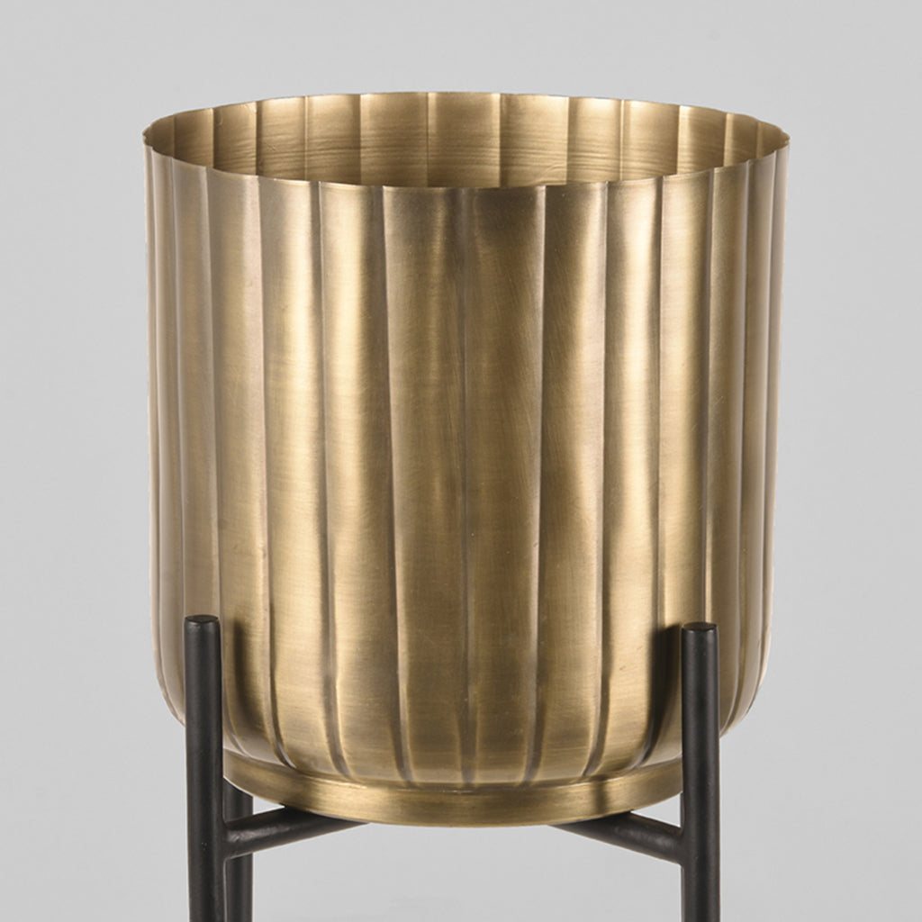 Plantenstandaards - Antiek goud - Metaal