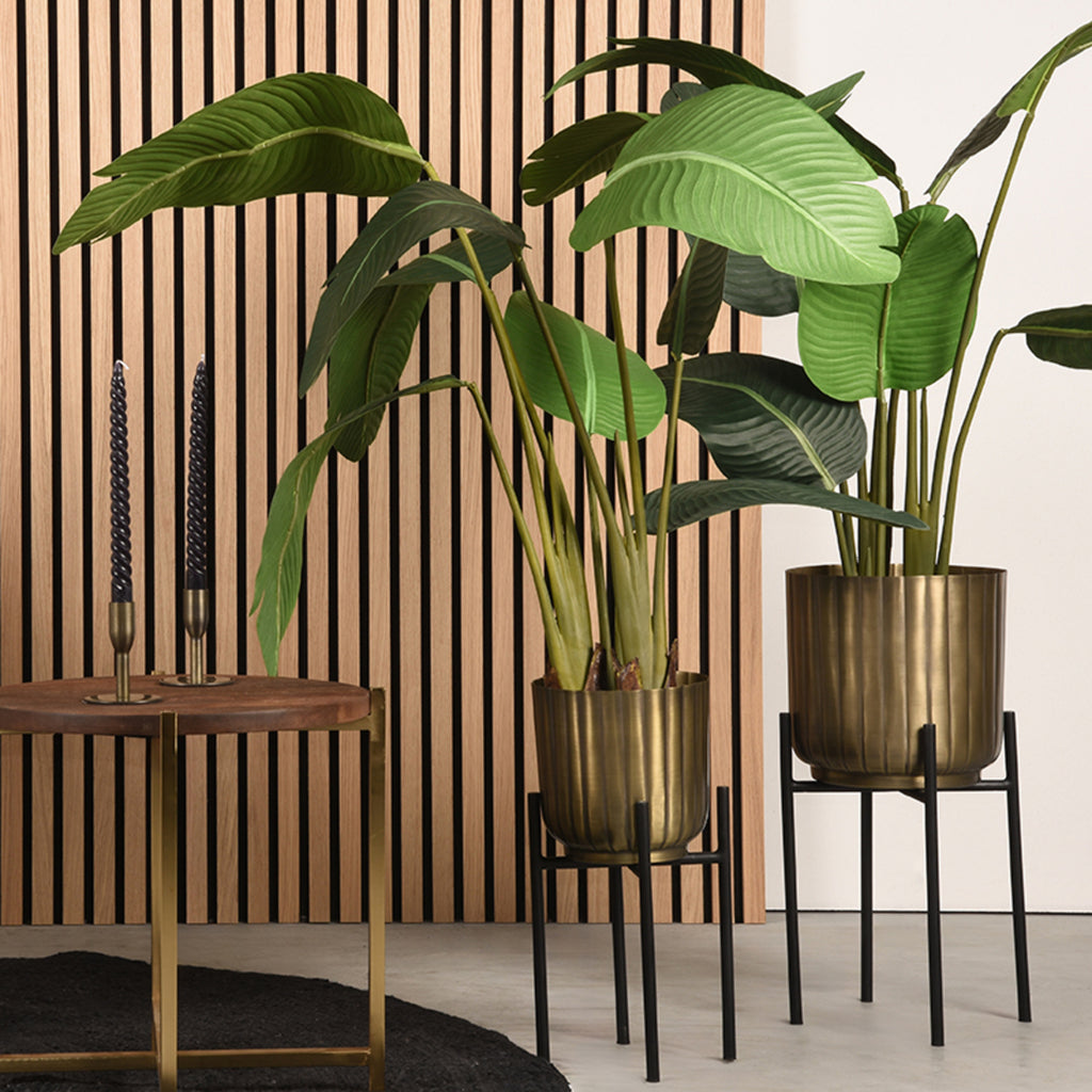 Plantenstandaards - Antiek goud - Metaal