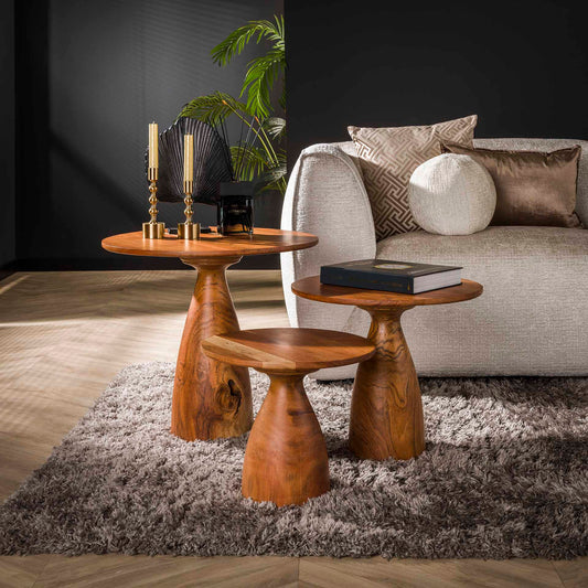 Salontafel set met 3 massieve kegelpoten - Massief Acacia Naturaal - 60x60x55 cm