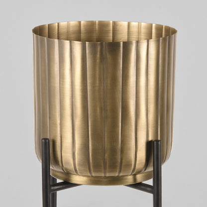 Plantenstandaards - Antiek goud - Metaal